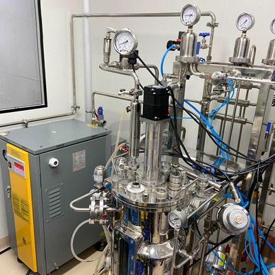 50kg steam generator,35kw steam generator,35kw boiler