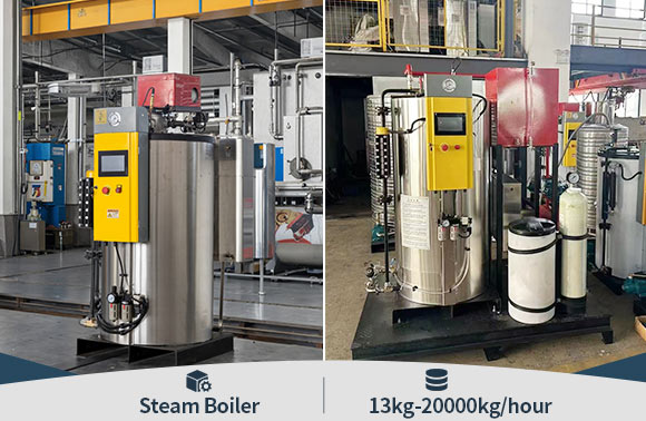 Steam Boiler for Mushroom Cultivation