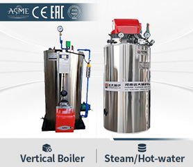 Vertical Hot Water Boiler Vertical Hot Water Boiler
