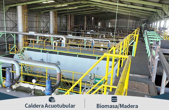 caldera biomasa industriales caldera biomasa industriales