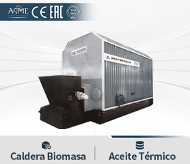 Caldera de Aceite T&eacute;rmico de Biomasa Lena