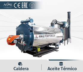Caldera de Aceite Térmico a Gas y Fuel Oil Caldera de Aceite Térmico a Gas y Fuel Oil