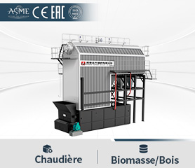Chaudière à Biomasse à Tubes Eau Chaudière à Biomasse à Tubes Eau