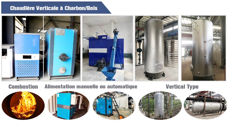 Petite chaudière à combustible solide