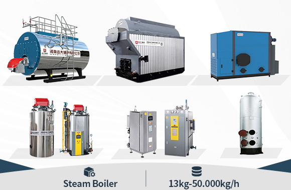 Steam Boiler for Mushroom Cultivation