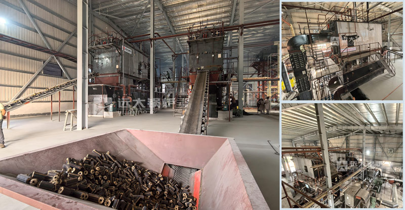 industrial biomass fired steam boiler