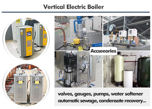 vertical steam generator boiler