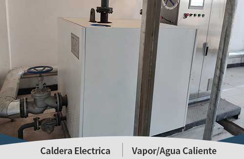 caldera vapor electrica