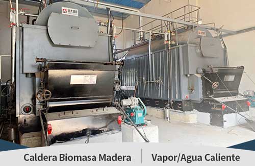 caldera biomasa industrial