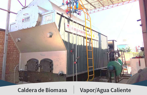 Caldera Manual de Biomasa