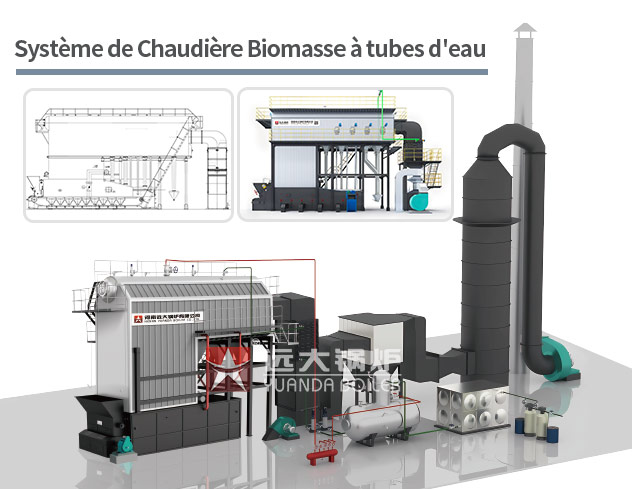 Système de chaudière à biomasse à tubes d'eau