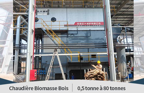 chaudière à biomasse à grille alternative