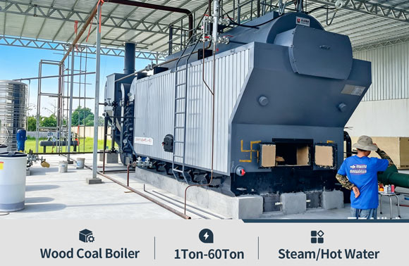 dzh coal biomass boiler,chain grate boiler,hand coal boiler