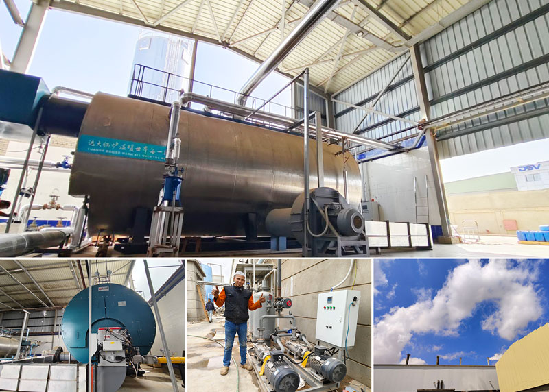 20ton gas fired steam boiler in egypt 20ton gas fired steam boiler in egypt