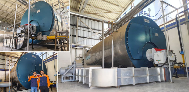fire tube steam boiler for noodles factory