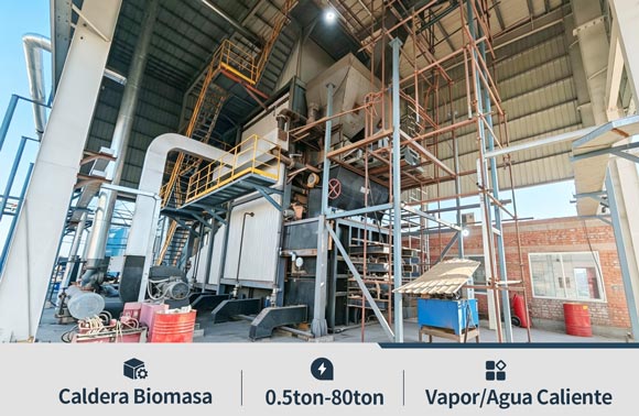 Caldera vapor de biomasa a lena