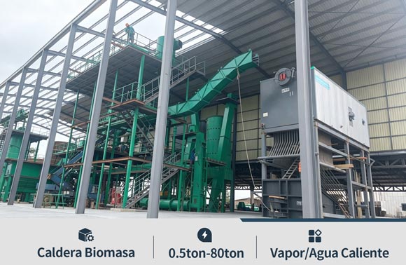 caldera biomasa industriales