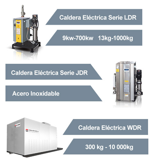 caldera vapor de electrica