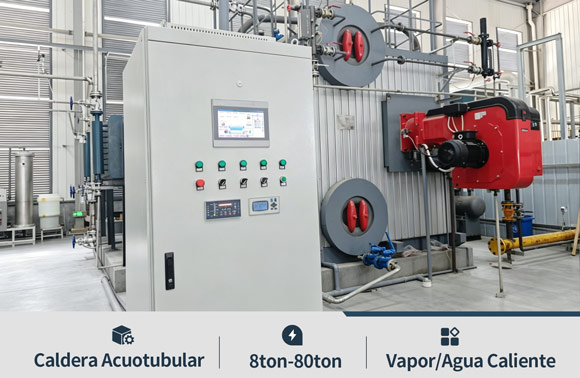 Caldera de vapor alimentada con diesel gas