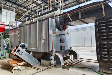 biomass fired boiler,wood drying steam boiler,steam boiler ecuador