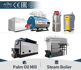Palm Oil Mill Boiler Palm Oil Mill Boiler