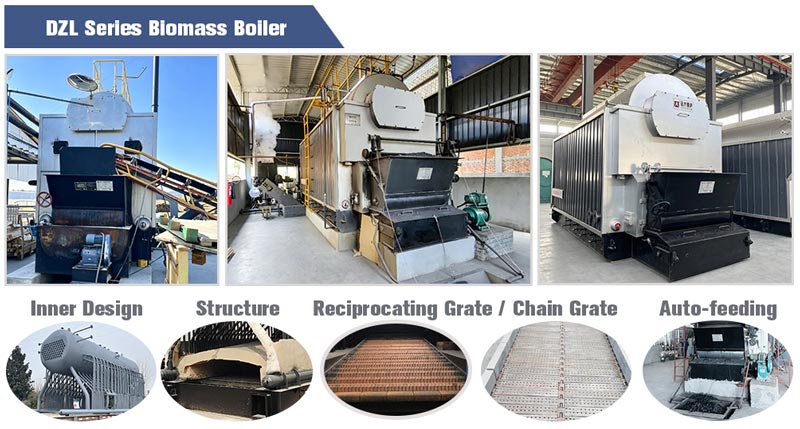 husk fired boiler,ricehusk stoker boiler,biomass husk boiler