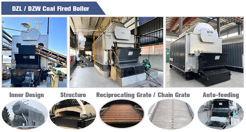 dzl coal boiler,coal fired boiler,coal steam boiler