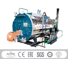 Industrial Biogas Fired Boiler Industrial Biogas Fired Boiler