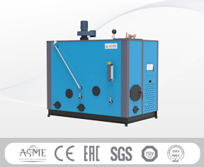 Biomass Steam Generator