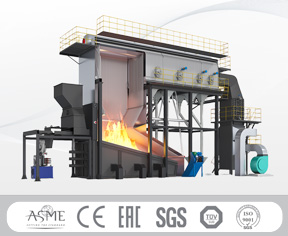 Biomass Steam Boiler
