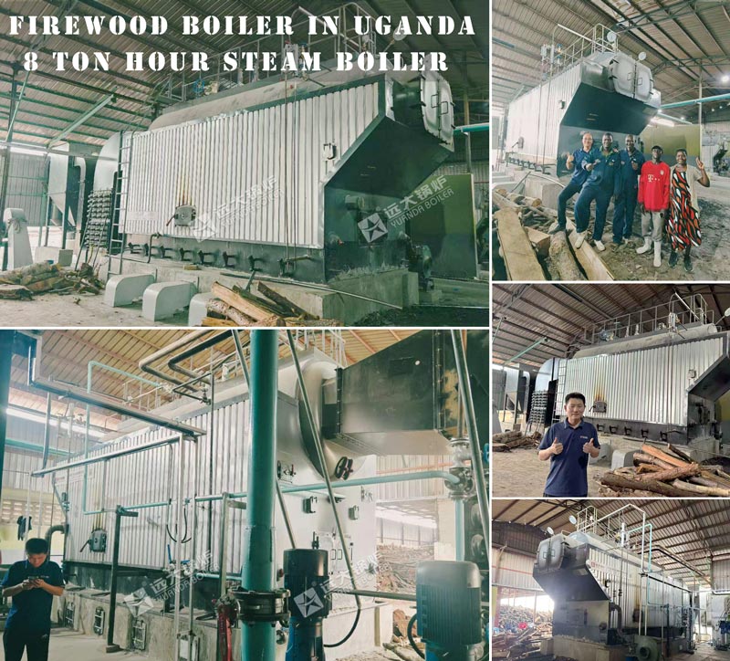 uganda steam boiler,industrial wood boiler,8ton boiler