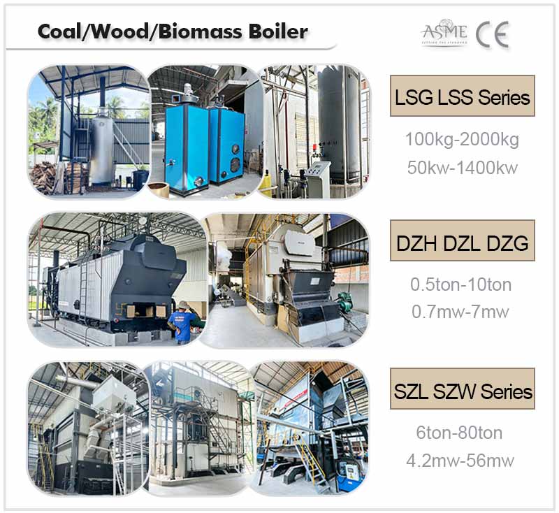 solid fuel hot water boiler,coal hot water boiler,biomass hot water boiler
